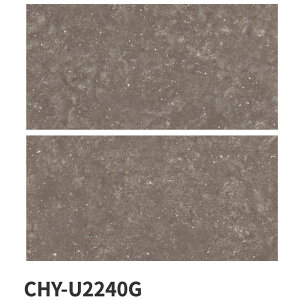 ÉUCN / XJWirA Xg SCANDINAVIAN STONE 600×300p 8 O^C(P[X)