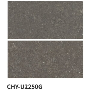 ÉUCN / XJWirA Xg SCANDINAVIAN STONE 600×300p 8 O^C(P[X)