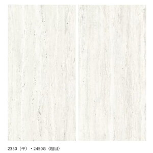 ÉUCN / AXgFC ASTRAVEIN 600×300pe 7 O^C(P[X)