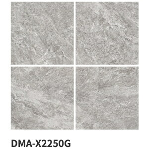 ÉUCN / Xm[AvX SNOW ALPS 600pe(20) 2 O^C(P[X)