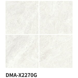 ÉUCN / Xm[AvX SNOW ALPS 600pe(20) 2 O^C(P[X)