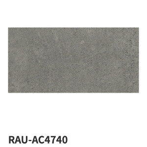 ÉUCN / X}[gT[tFCX SMART SURFACE 1200×600p 2 ^C(P[X)