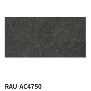 ÉUCN / X}[gT[tFCX SMART SURFACE 1200×600p 2 ^C(P[X)
