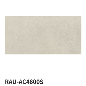 ÉUCN / X}[gT[tFCX SMART SURFACE 1200×600p 2 ^C(P[X)