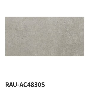 ���É����U�C�N / �X�}�[�g�T�[�t�F�C�X SMART SURFACE 1200×600�p�������� 2���� �������^�C��(�P�[�X)