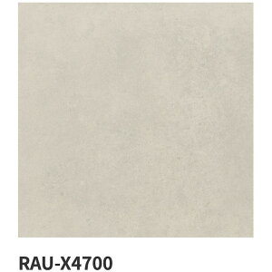 ÉUCN / X}[gT[tFCX SMART SURFACE 600p 4 ^C(P[X)