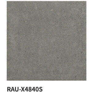 ÉUCN / X}[gT[tFCX SMART SURFACE 600p 4 ^C(P[X)