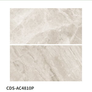 ÉUCN / ubN}b` BOOK MATCH 1200×600p 2 CDS-AC4810P CDS-AC4820P CDS-AC4830P CDS-AC4840P CDS-AC4850P ^C(P[X)