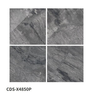 ÉUCN / ubN}b` BOOK MATCH 600p 3 CDS-X4810P CDS-X4820P CDS-X4830P CDS-X4840P CDS-X4850P ^C(P[X)