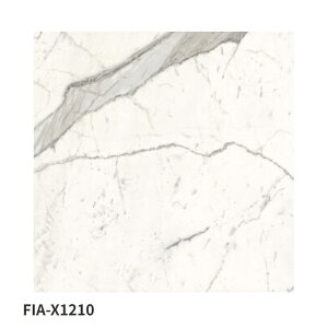ÉUCN / }[uu MARBLE LAB 600p 3 FIA-X1200 FIA-X1210 FIA-X1250 FIA-X1260 ^C(P[X)