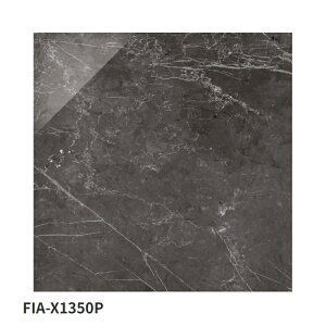 ÉUCN / }[uu MARBLE LAB 600p 3 FIA-X1300P FIA-X1310P FIA-X1350P FIA-X1360P ^C(P[X)