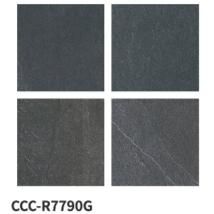 ^C(P[X) o[j Lavagna 300pe 12 CCC-R7770G CCC-R7780G CCC-R7790G O^C / ÉUCN