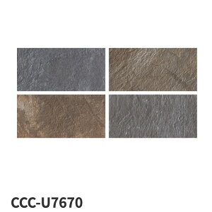 ^C(P[X) o[j Lavagna 600×300p 6 CCC-U7670 CCC-U7680 ^C / ÉUCN