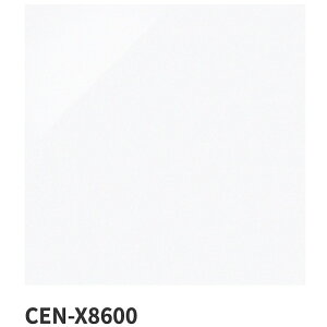 ÉUCN / j[Z`[ New Century 600p 2 CEN-X0510 CEN-X7700 CEN-X8600 ^C(P[X)