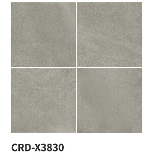 ���É����U�C�N / �����h�X�g�� Land Stone 600�p�� 4���� CRD-X3810 CRD-X3820 CRD-X3830 CRD-X3840 �������^�C��(�P�[�X)