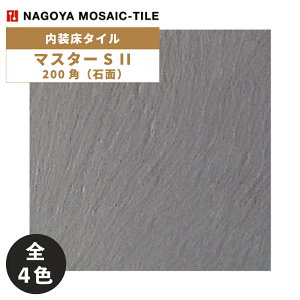 ^C(P[X) }X^[S II MasterS II 200pΖ 25 NGH-200-11 NGH-200-12 NGH-200-13 NGH-200-14 ^C / ÉUCN