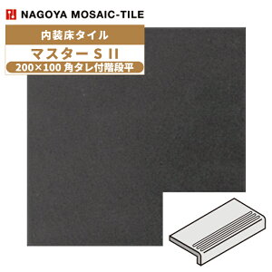 ^C(P[X) }X^[S II MasterS II 200×100p^tKi 30 NGH-200KT-15F ^C / ÉUCN