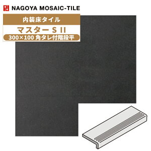 ^C(P[X) }X^[S II MasterS II 300×100p^tKi 16 NGH-300KT-15F ^C / ÉUCN