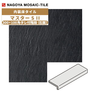 ^C(P[X) }X^[S II MasterS II 300×100p^tKiΖ 16 NGH-300KT-16 ^C / ÉUCN