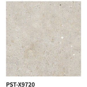 ÉUCN / oCItBbN Biophilic 600p 4 PST-X9710 PST-X9720 PST-X9730 PST-X9740 ^C(P[X)