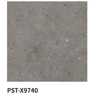 ÉUCN / oCItBbN Biophilic 600p 4 PST-X9710 PST-X9720 PST-X9730 PST-X9740 ^C(P[X)