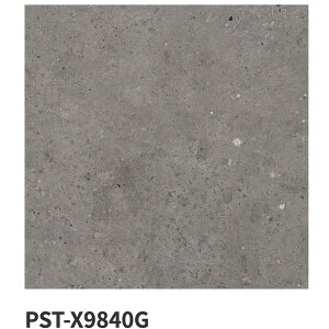 ÉUCN / oCItBbN Biophilic 600pe 4 PST-X9810G PST-X9820G PST-X9830G PST-X9840G O^C(P[X)