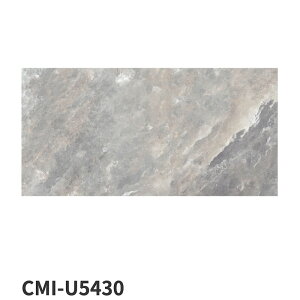 名古屋モザイク / タイル(ケース) ロックソルト Rock Salt 600×300角平 6枚入 CMI-U5410 CMI-U5420 CMI-U5430 CMI-U5440 CMI-U5450 内装床タイル