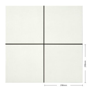 ÉUCN / ^C(P[X) VNXII Cyclas II 300p 12 SIC-R2010F SIC-R2020F SIC-R2030F SIC-R2050F SIC-R2070F SIC-R2080F ^C