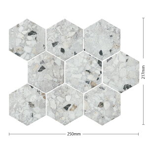 ÉUCN / ^C(P[X) kIxbLI 250×217Zp` 9 XCV-Z8510 XCV-Z8520 XCV-Z8530 ^C