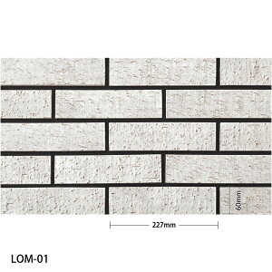 ^C(P[X)  Lommel 񒚊|e 70 LOM-01 LOM-02 LOM-03 LOM-04 LOM-05 O / ÉUCN