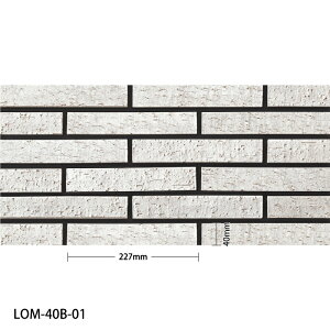 ÉUCN / ^C(P[X)  Lommel 227×40{[_[e 105 LOM-40B-01 LOM-40B-02 LOM-40B-03 LOM-40B-04 LOM-40B-05 O