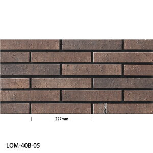 ÉUCN / ^C(P[X)  Lommel 227×40{[_[e 105 LOM-40B-01 LOM-40B-02 LOM-40B-03 LOM-40B-04 LOM-40B-05 O