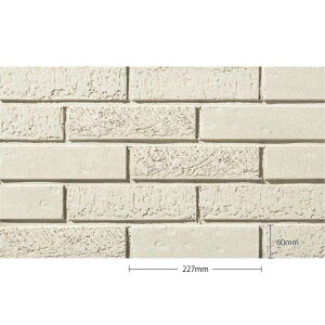 ^C(P[X) RGg Korient 񒚊|ʏ 50 KOE-881 KOE-885 KOE-886 O / ÉUCN