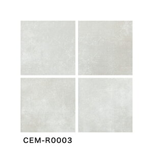 ÉUCN / ZCg CEMLITE 300pe 12 O^C(P[X) CEM-R0001 CEM-R0002 CEM-R0003 CEM-R0004