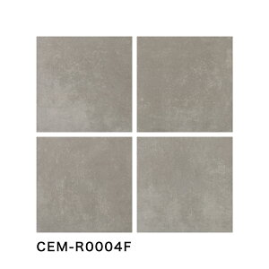 ÉUCN / ZCg CEMLITE 300p 12 ^C(P[X) CEM-R0001F CEM-R0002F CEM-R0003F CEM-R0004F