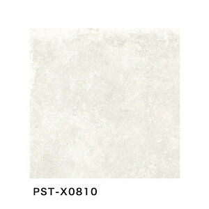 ÉUCN / VrI[W SIMBIOSI 600p v[ 4 ^C(P[X) PST-X0810 PST-X0820 PST-X0830 PST-X0840 PST-X0850 PST-X0860