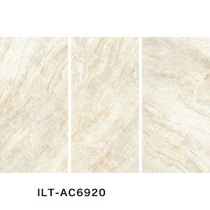 ÉUCN / IXgJ OSTRICA 1200×600p 2 ^C(P[X) ILT-AC6910 ILT-AC6920 ILT-AC6930 ILT-AC6940