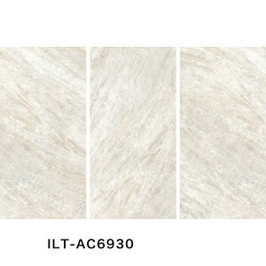 ÉUCN / IXgJ OSTRICA 1200×600p 2 ^C(P[X) ILT-AC6910 ILT-AC6920 ILT-AC6930 ILT-AC6940