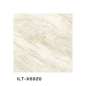 ÉUCN / IXgJ OSTRICA 600p 3 ^C(P[X) ILT-X6910 ILT-X6920 ILT-X6930 ILT-X6940