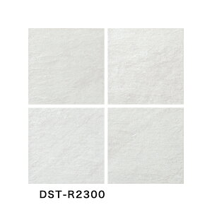 ÉUCN / fo[bN DENVER ROCK 300pe 12 O^C(P[X) DST-R2000 DST-R2100 DST-R2200 DST-R2300 DST-R2400