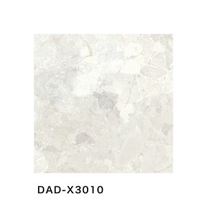 ÉUCN / ACYXg EYES STONE 600p 5 Oǃ^C(P[X) DAD-X3010 DAD-X3020 DAD-X3030 DAD-X3040
