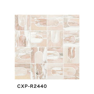 ÉUCN /  LAVRA 2`~bNXlbg\ 10V[g CXP-R2400 CXP-R2410 CXP-R2420 CXP-R2430 CXP-R2440 CXP-R2450 A[gUCN^C(P[X)