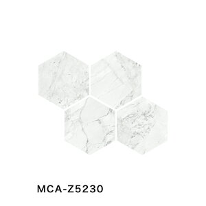 ÉUCN / NVR} Classico marmo 250×217Zp` 29 MCA-Z5210 MCA-Z5220 MCA-Z5230 MCA-Z5240 fUC^C(P[X)
