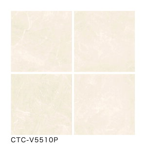 ���É����U�C�N / �V�F�~�X�g�� 400�p���� 6���� CTC-V5510P CTC-V5520P CTC-V5530P CTC-V5540P �����p���E�ǃ^�C��(�P�[�X)