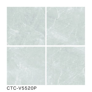 ���É����U�C�N / �V�F�~�X�g�� 400�p���� 6���� CTC-V5510P CTC-V5520P CTC-V5530P CTC-V5540P �����p���E�ǃ^�C��(�P�[�X)