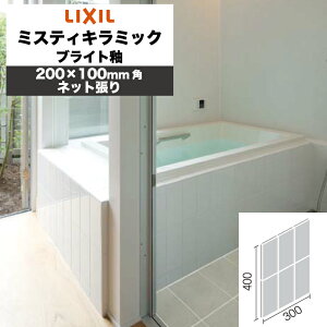 LIXIL INAX / ~XeBL~bN uCg 200×100mmplbg pǃ^C pԕi݌Ɍ (P[X)
