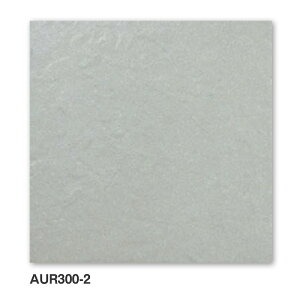 KY^C / I[ 300pӊKi 14 Op^C(P[X)