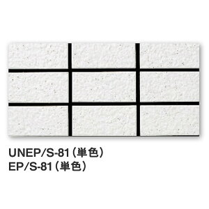 KY^C / Z[OΖʁE50p 50񒚕 22 Opǃ^C(P[X)