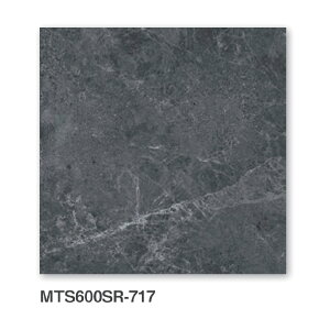 KY^C / ^gX^[v 600p 4 Op^C(P[X) MTS600SR-714 MTS600SR-715 MTS600SR-716 MTS600SR-717