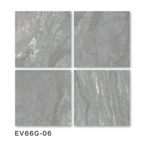 KY^C / G{u 600p 4 Op^C(P[X) EV66G-02 EV66G-03 EV66G-06